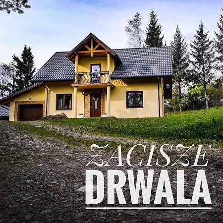 Zacisze Drwala Guest House Lutowiska Exterior photo